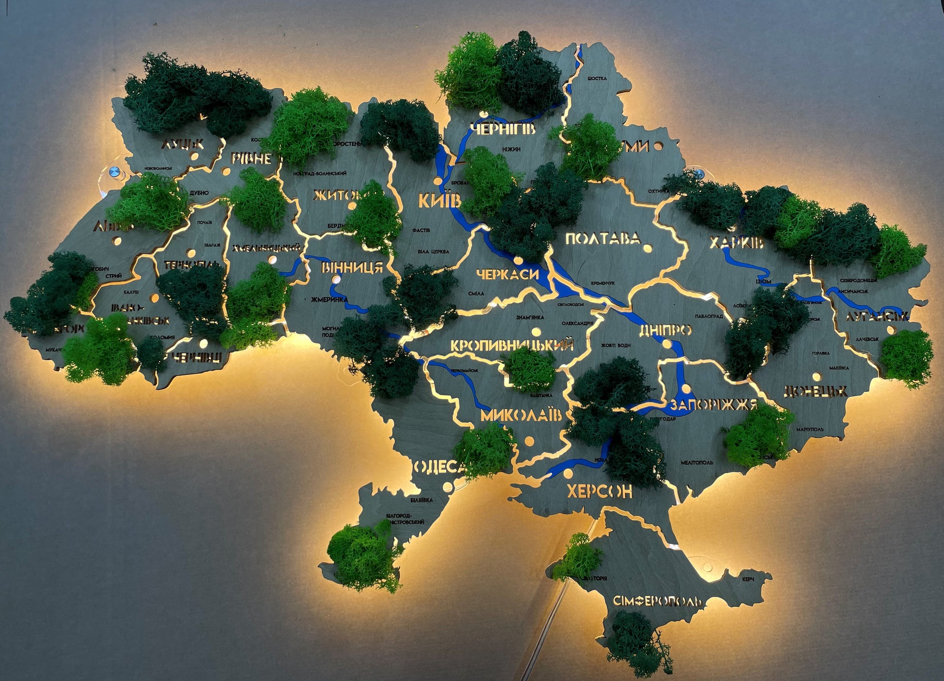 Mapa Ukrainy LED na szkle akrylowym z rzekami, mchem i podświetleniem między regionami kolor Oak