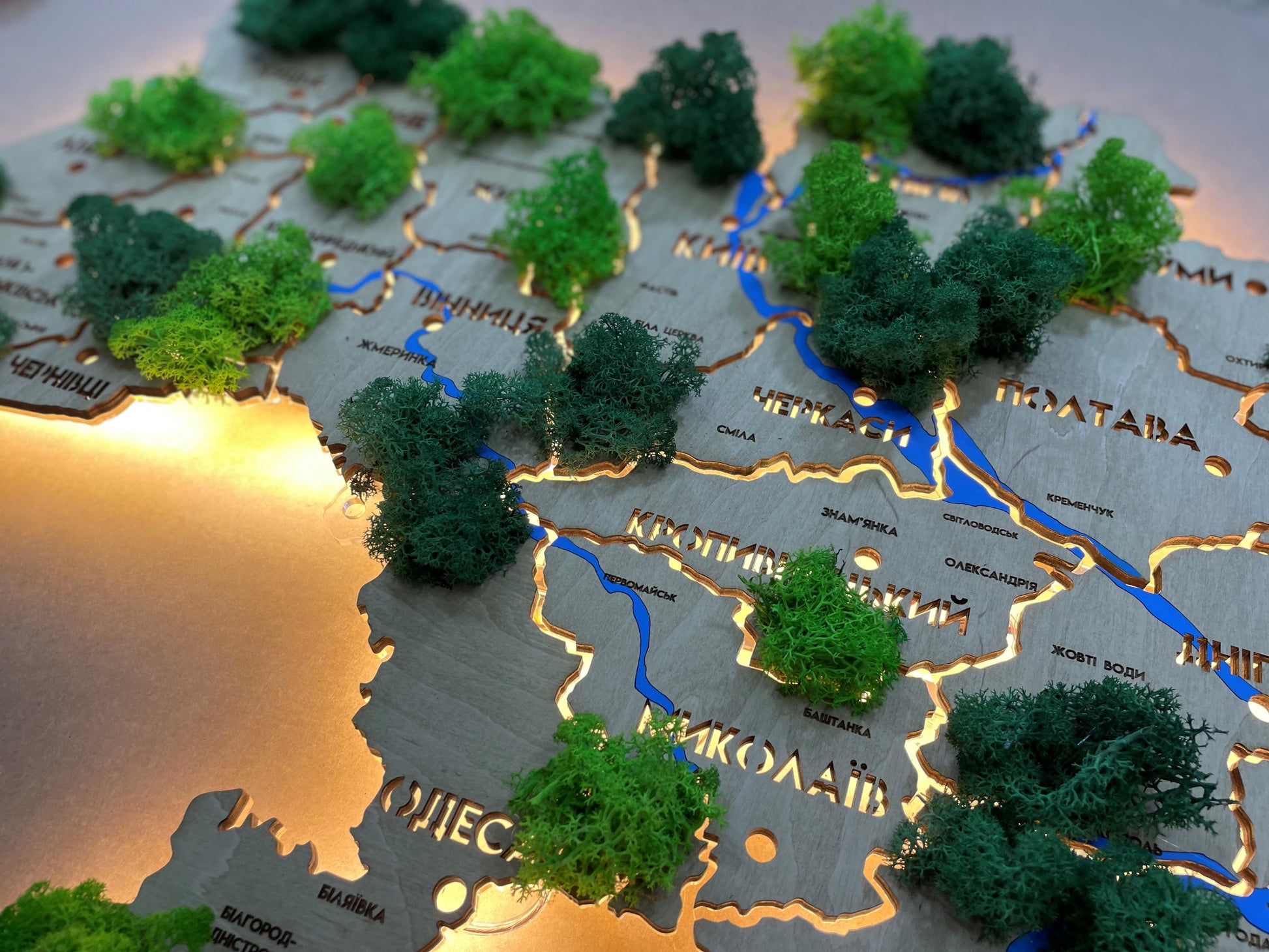 Mapa Ukrainy LED na szkle akrylowym z rzekami, mchem i podświetleniem między regionami kolor Oak