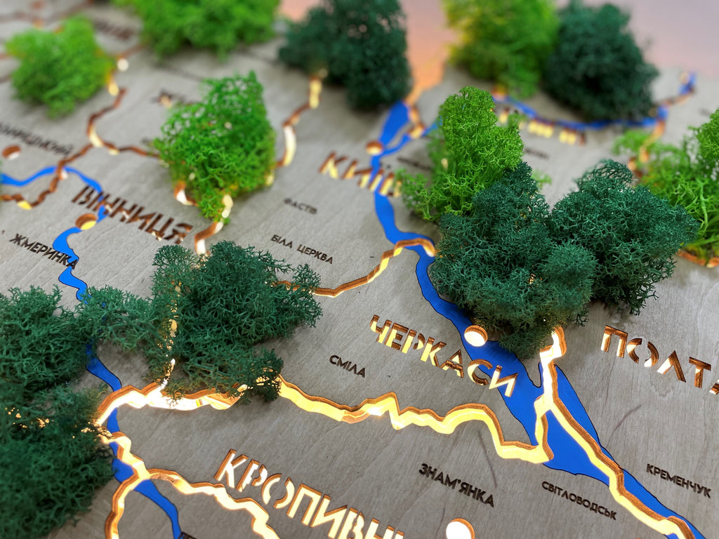 Mapa Ukrainy LED na szkle akrylowym z rzekami, mchem i podświetleniem między regionami kolor Oak