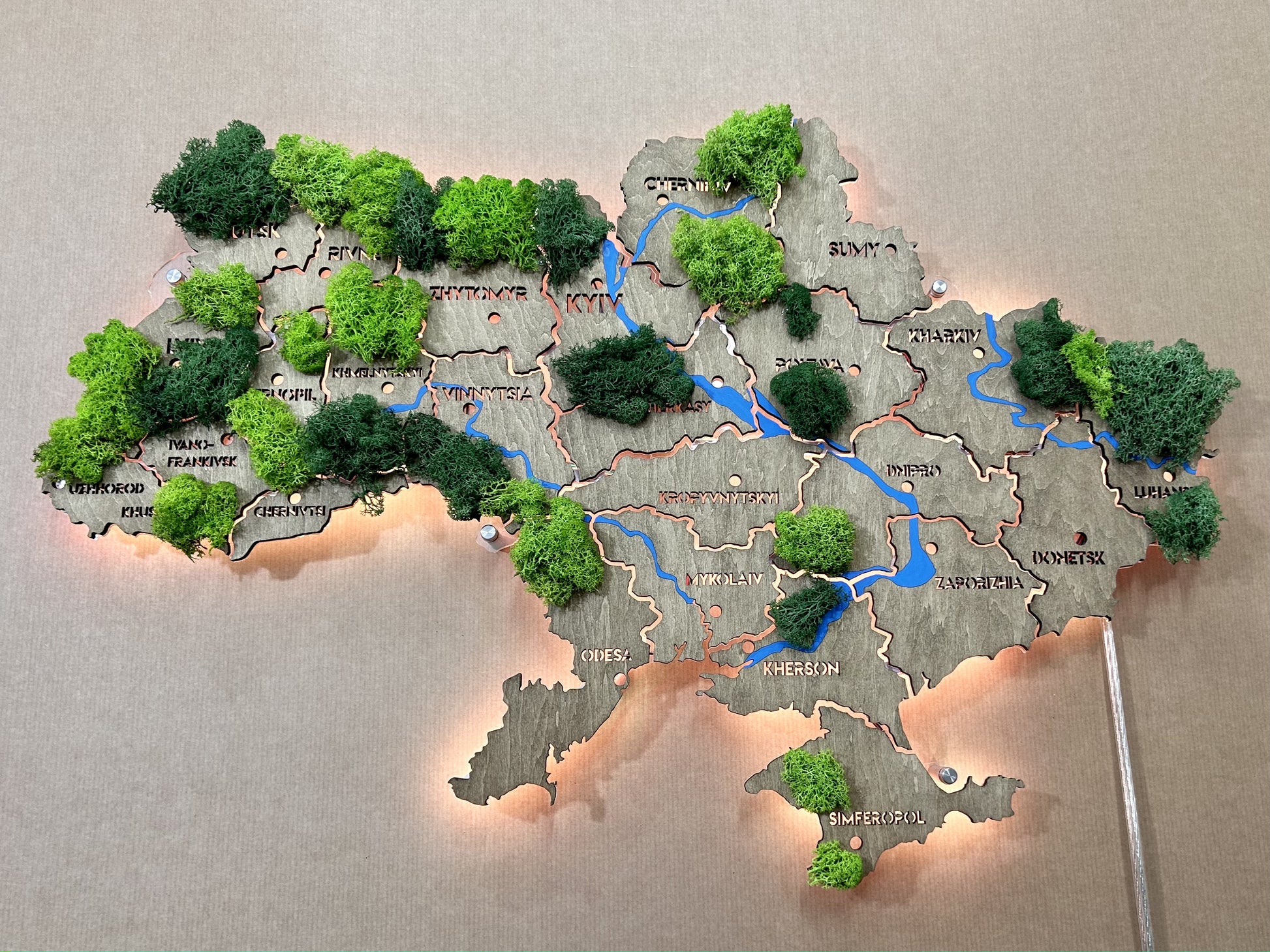 Mapa Ukrainy LED na szkle akrylowym z rzekami, mchem i podświetleniem między regionami kolor Venge 1