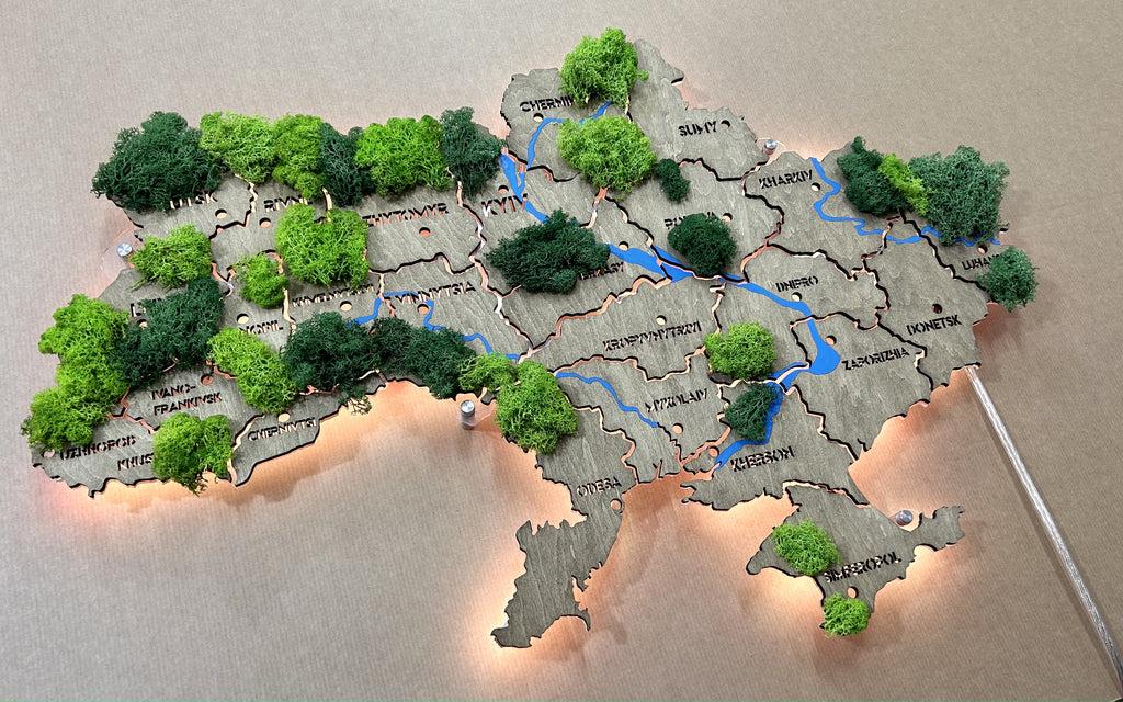 Mapa Ukrainy LED na szkle akrylowym z rzekami, mchem i podświetleniem między regionami kolor Venge 1
