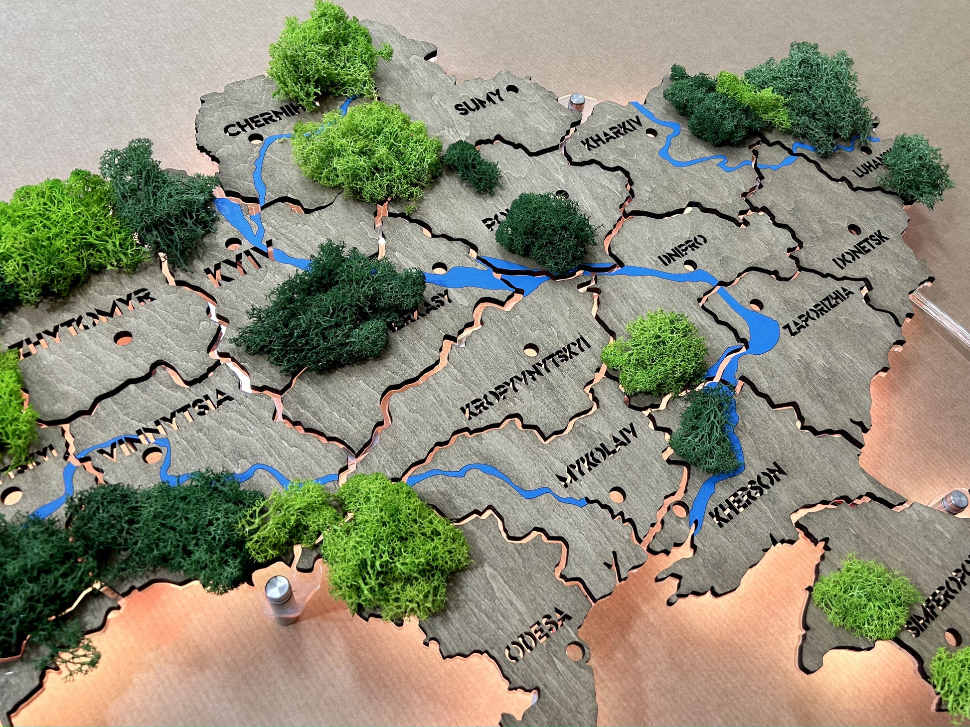 Mapa Ukrainy LED na szkle akrylowym z rzekami, mchem i podświetleniem między regionami kolor Venge 1