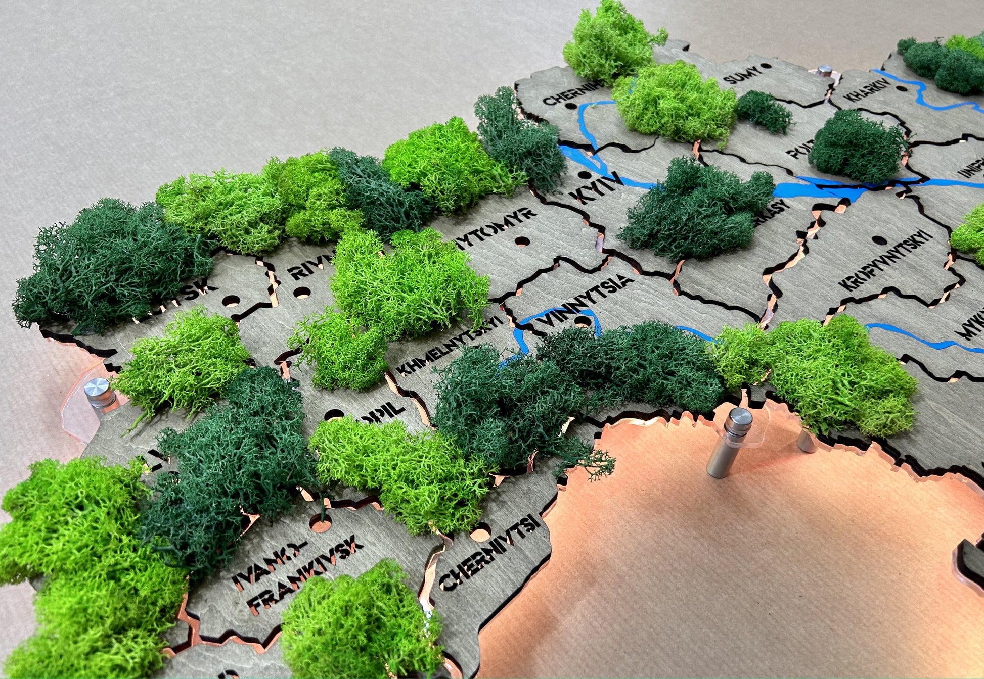 Mapa Ukrainy LED na szkle akrylowym z rzekami, mchem i podświetleniem między regionami kolor Venge 1