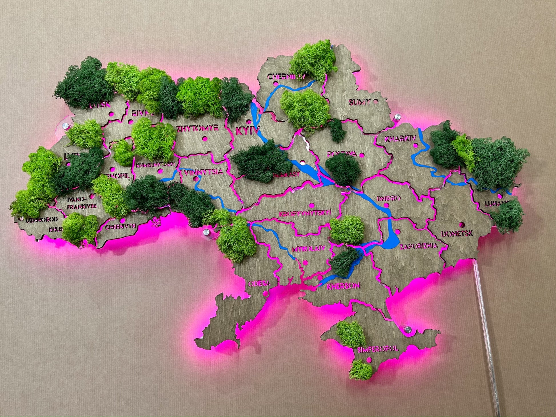 Mapa Ukrainy RGB LED na szkle akrylowym z rzekami, mchem i podświetleniem między regionami kolor Venge