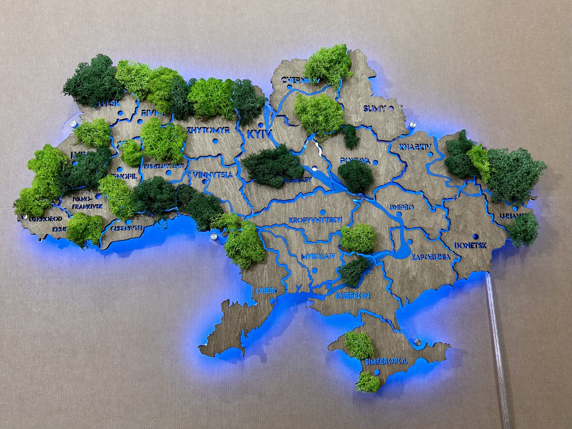 Mapa Ukrainy RGB LED na szkle akrylowym z rzekami, mchem i podświetleniem między regionami kolor Venge