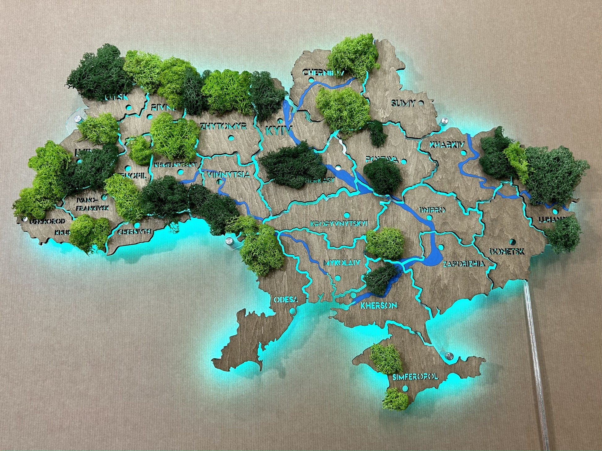 Mapa Ukrainy RGB LED na szkle akrylowym z rzekami, mchem i podświetleniem między regionami kolor Venge