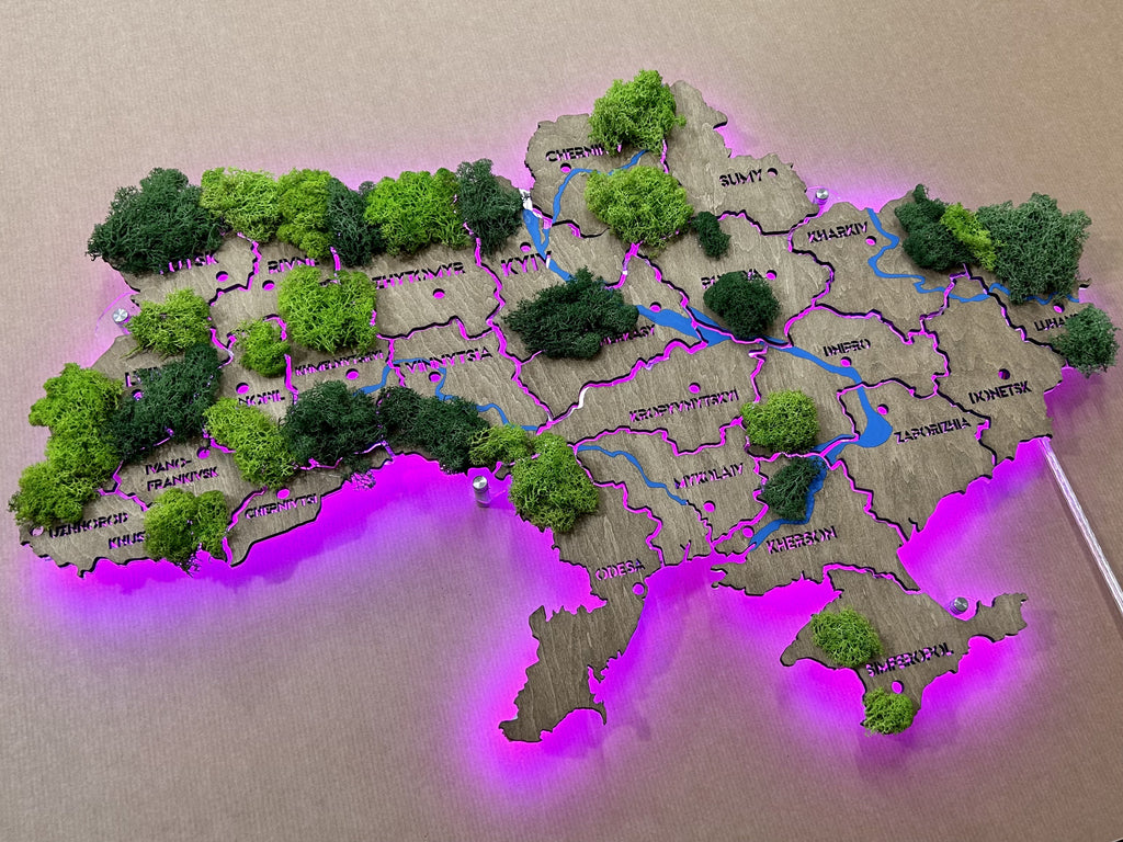Mapa Ukrainy RGB LED na szkle akrylowym z rzekami, mchem i podświetleniem między regionami kolor Venge