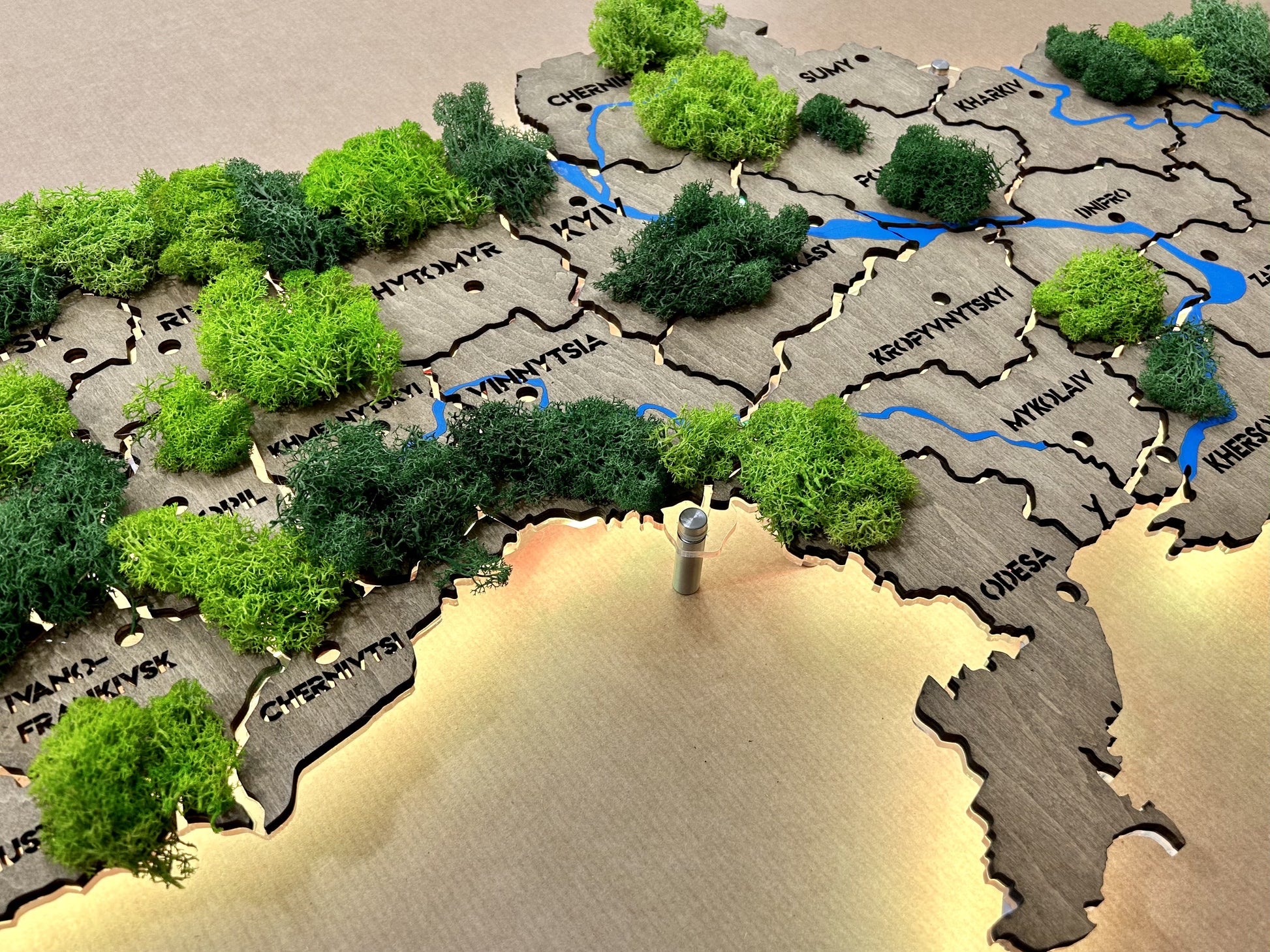 Mapa Ukrainy RGB LED na szkle akrylowym z rzekami, mchem i podświetleniem między regionami kolor Venge