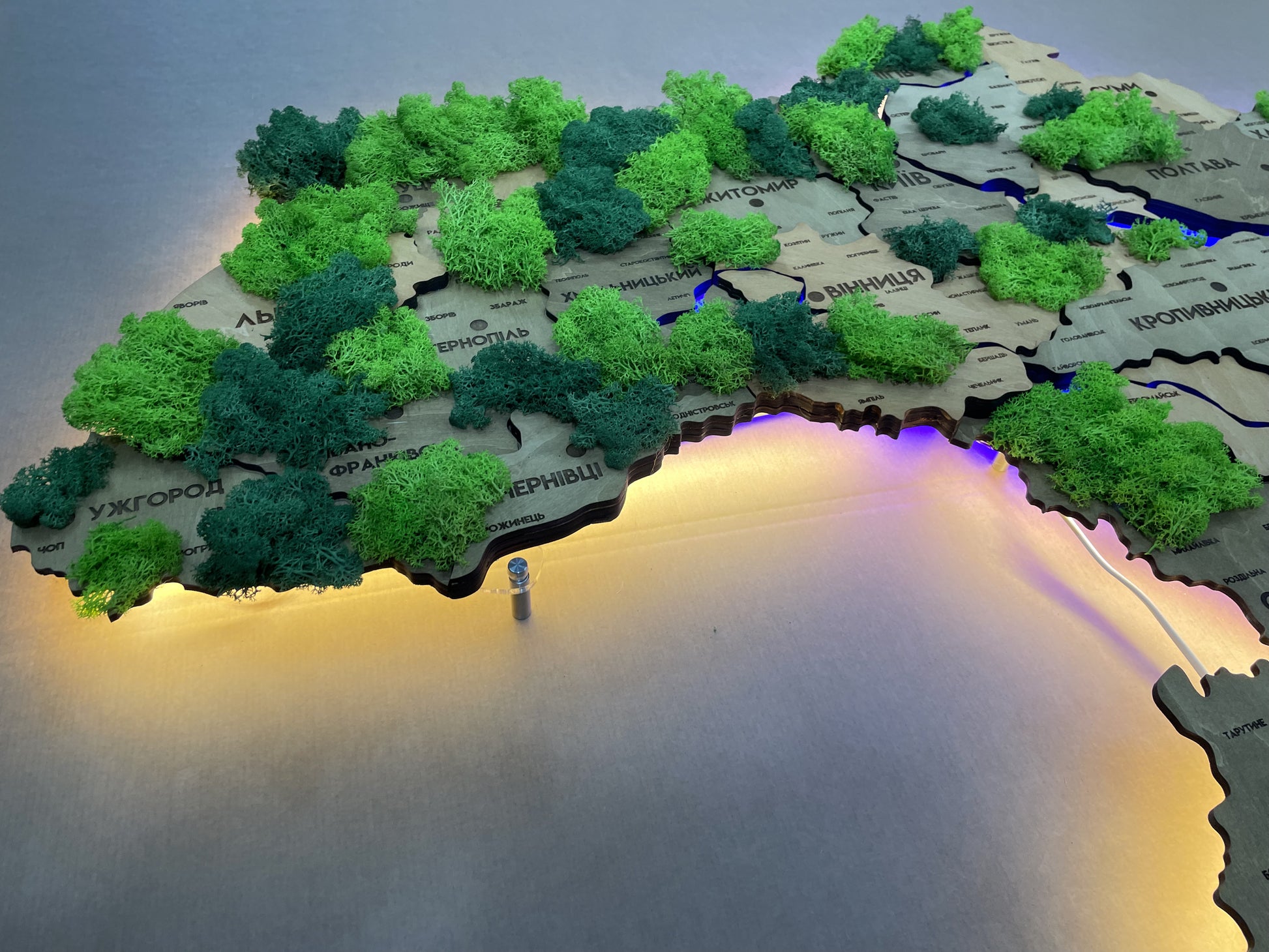 Szczegółowa wielowarstwowa mapa Ukrainy LED z podświetleniem rzek i mchem kolor Light Tree