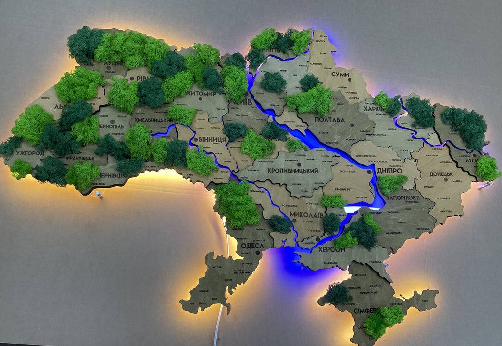 Szczegółowa wielowarstwowa mapa Ukrainy LED z podświetleniem rzek i mchem kolor Light Tree
