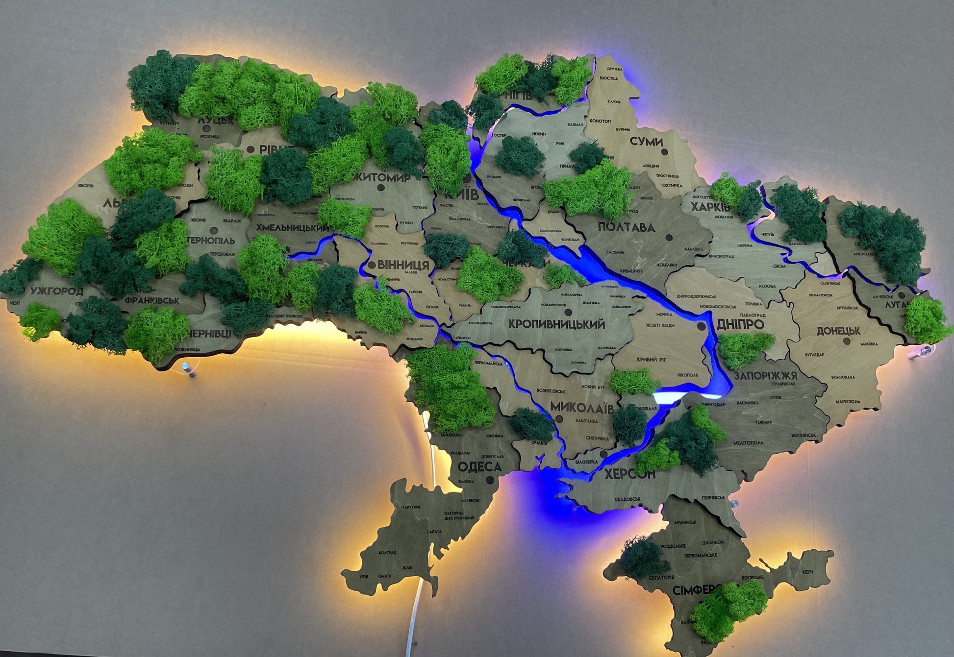 Szczegółowa wielowarstwowa mapa Ukrainy LED z podświetleniem rzek i mchem kolor Light Tree