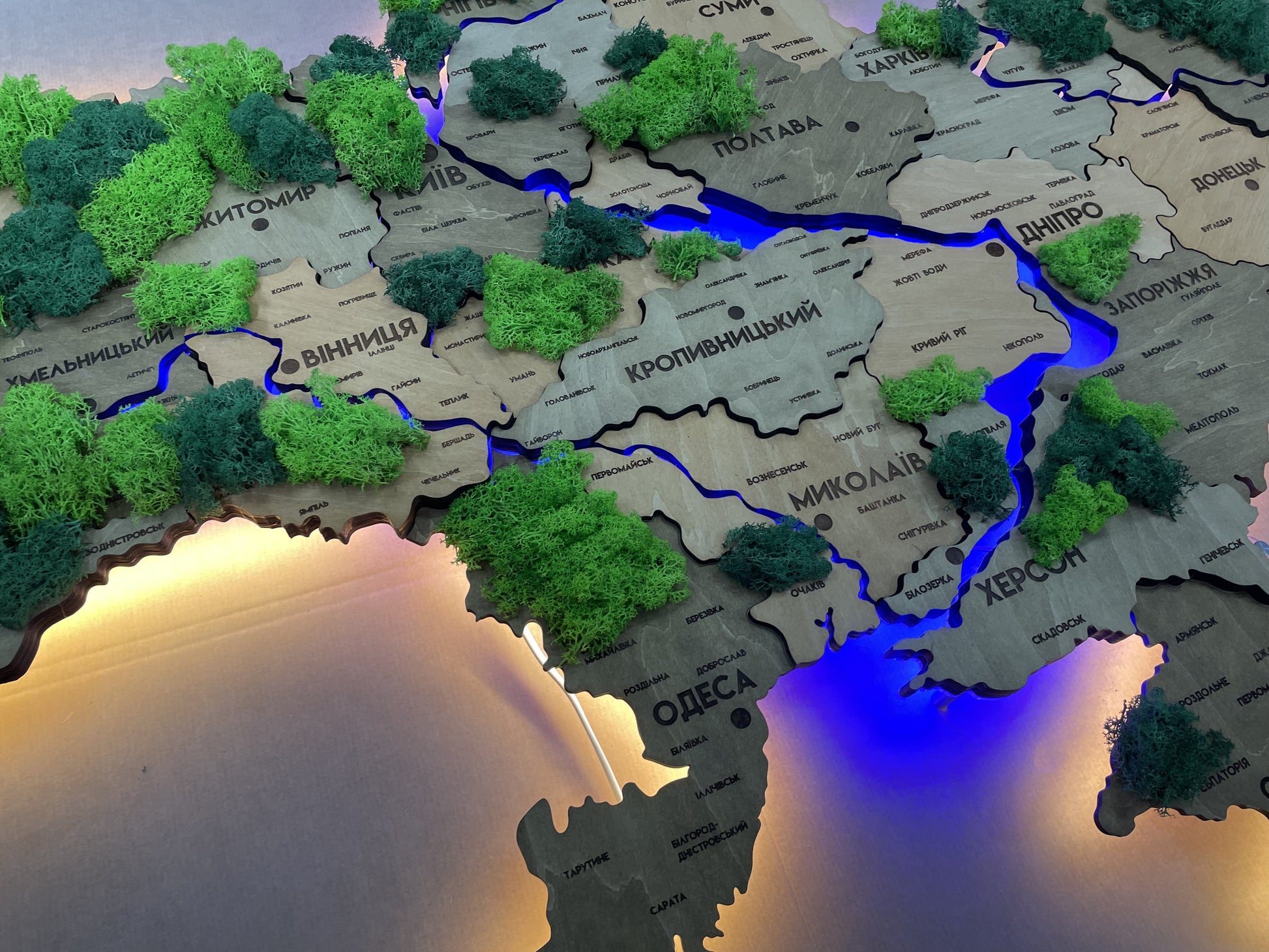 Szczegółowa wielowarstwowa mapa Ukrainy LED z podświetleniem rzek i mchem kolor Light Tree