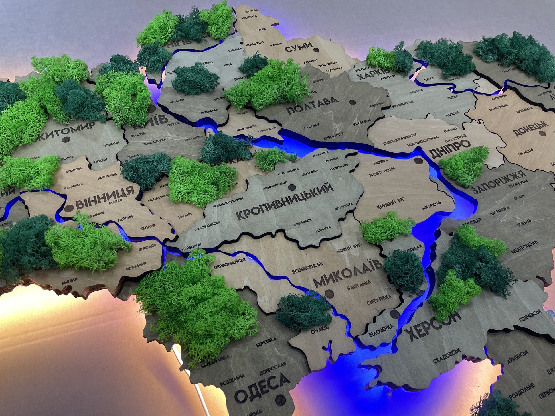 Szczegółowa wielowarstwowa mapa Ukrainy LED z podświetleniem rzek i mchem kolor Light Tree