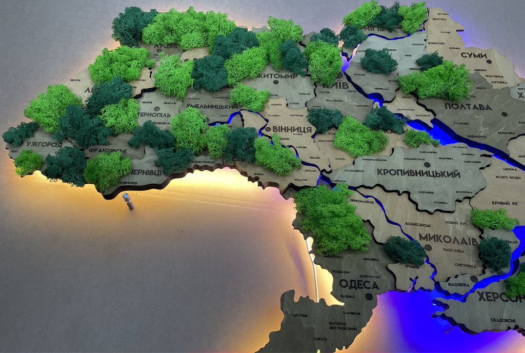 Szczegółowa wielowarstwowa mapa Ukrainy LED z podświetleniem rzek i mchem kolor Light Tree